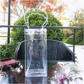 Champagne Bucket Wine Cooler 10 Pack Ice Wine Bag Collapsible Clear PVC Pouch Wine Cooler Bag Wine Chiller Sleeves for Champagne Beer Beverages Drinks Cooler(Transparent 10pcs)
